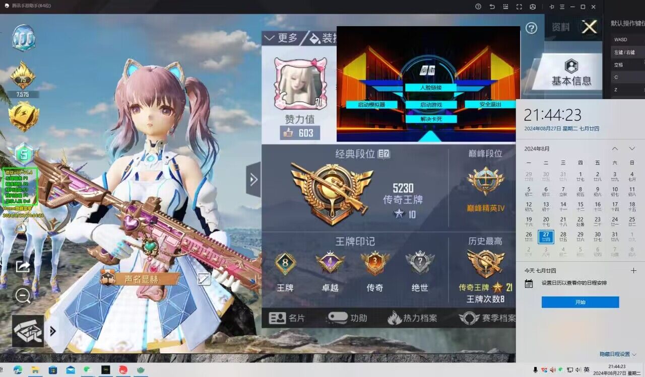 怎样打开和平精英辅助功能（怎么弄和平精英辅助功能）